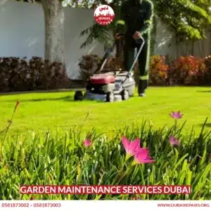 Garden Maintenance Services Dubai 