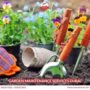 Garden Maintenance Services Dubai 
