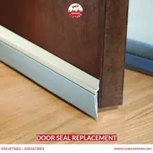 Door Seal Replacement
