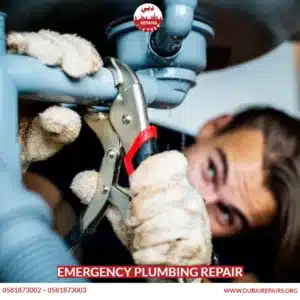Emergency Plumbing Repair