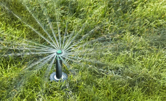 Garden Watering System Dubai