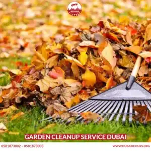Garden Cleanup Service Dubai