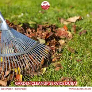 Garden Cleanup Service Dubai