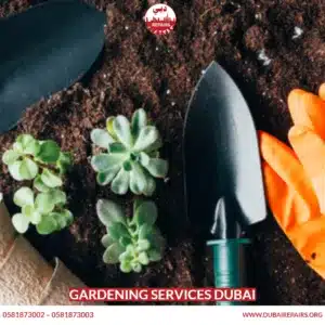 Gardening Services Dubai