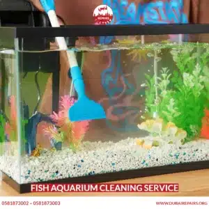 Fish Aquarium Cleaning Service