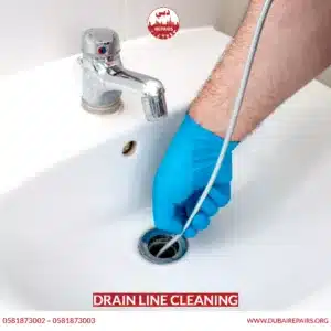 Drain Line Cleaning