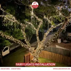 Fairy Lights Installation
