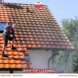 Rooftop Cleaning