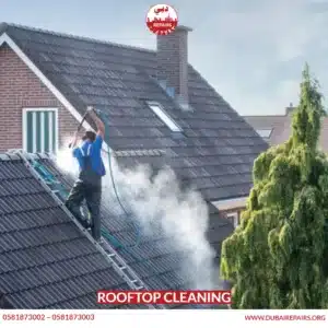 Rooftop Cleaning